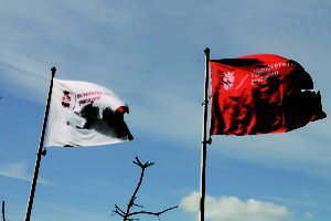 Vlag Rijksuniversiteit Groningen